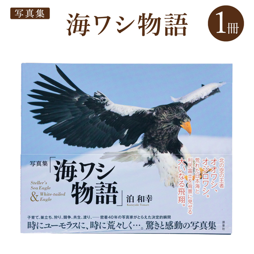 [写真集]海ワシ物語[泊和幸 野生塾]