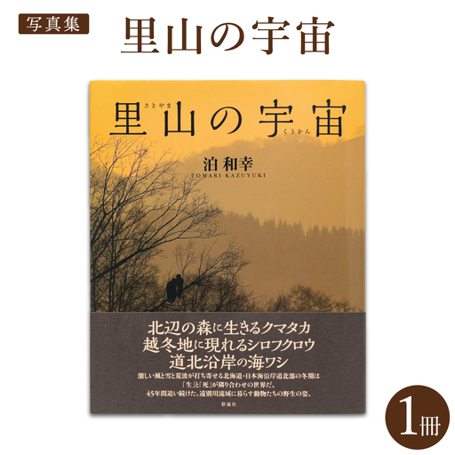 [写真集]里山の宇宙(さとやまのくうかん)[泊和幸 野生塾]