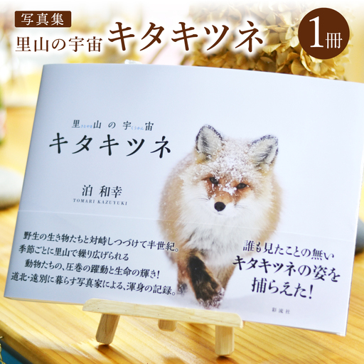 [野生塾]里山の宇宙(さとやまのくうかん) キタキツネ[泊和幸 野生塾]