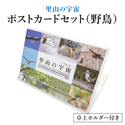 [野生塾 泊和幸]ポストカードセット 里山の宇宙(野鳥)