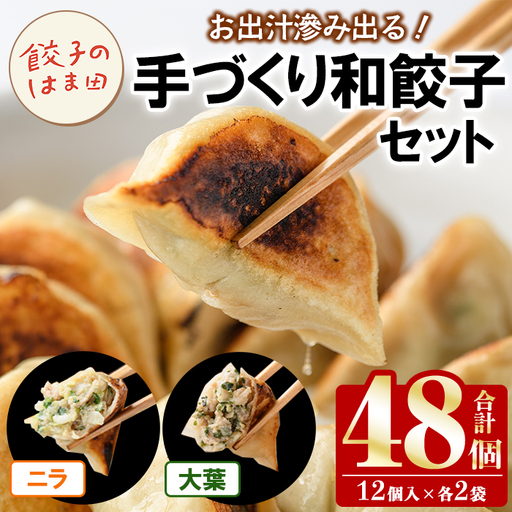 手づくり和餃子セット(ニラ餃子12個入×2袋+大葉12個入×2袋・合計48) 生餃子 ギョウザ ぎょうざ ギョーザ セット 詰め合わせ おかず お惣菜 冷凍 和風 水餃子 にら ニラ 大葉 手作り 食べ比べ [のはま田]akn096-03