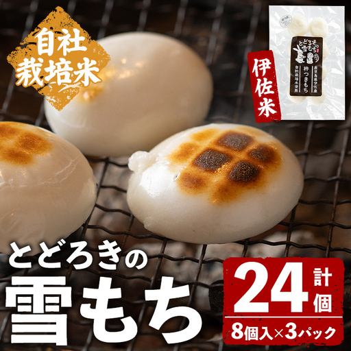 isa940 とどろきの雪もち(8個入×3P・計24個) 鹿児島県 伊佐市 もち 餅 丸もち 国産 保存食 玄米加工 ぜんざい お雑煮 焼き餅 真空パック 小分け 自社栽培米 伊佐米 杵つきもち [グリーンネットワークとどろき]