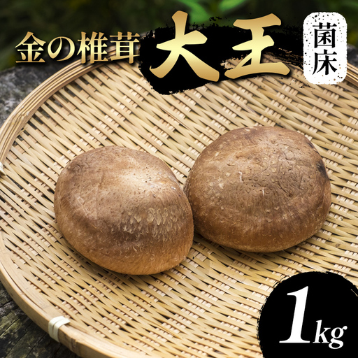 金の椎茸【菌床】「大王」1kg F2Y-4657