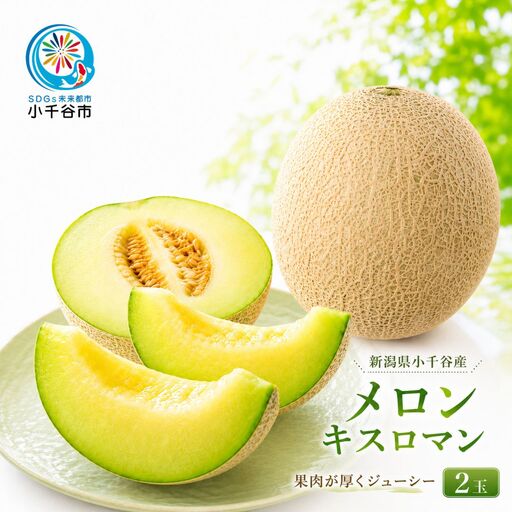 メロン キスロマン 2玉 農園ビギン 新潟県 小千谷市産 メロン