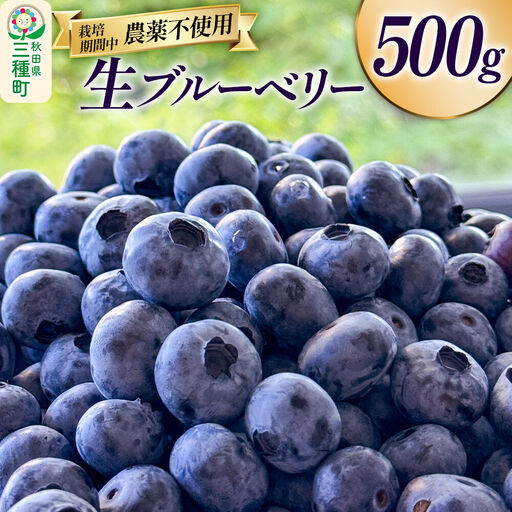 ブルーベリー 500g 秋田県山本郡三種町産
