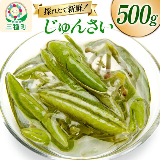じゅんさい 500g 秋田県山本郡三種町産