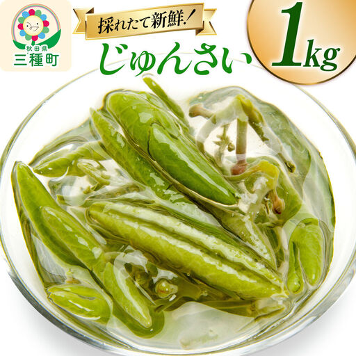 じゅんさい 1kg 秋田県山本郡三種町産