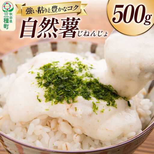 自然薯 500g 秋田県山本郡三種町産 山芋