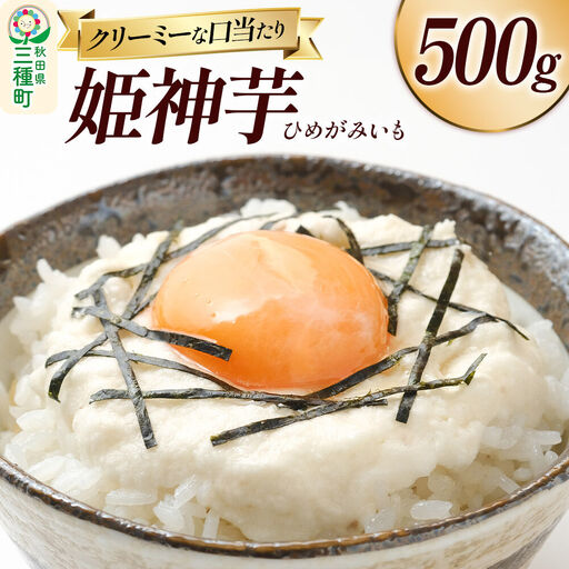 姫神芋 500g 秋田県山本郡三種町産 長芋