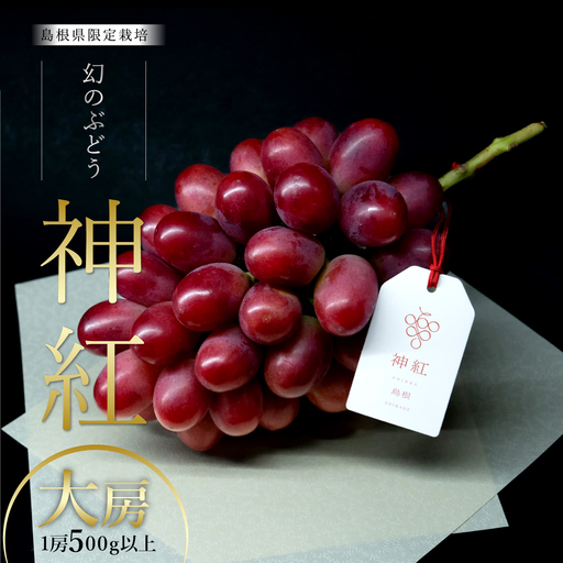 【朝採直送】島根県限定栽培“幻の赤ぶどう”神紅（しんく）” 園長厳選 糖度20度以上、1房 500g以上の大房