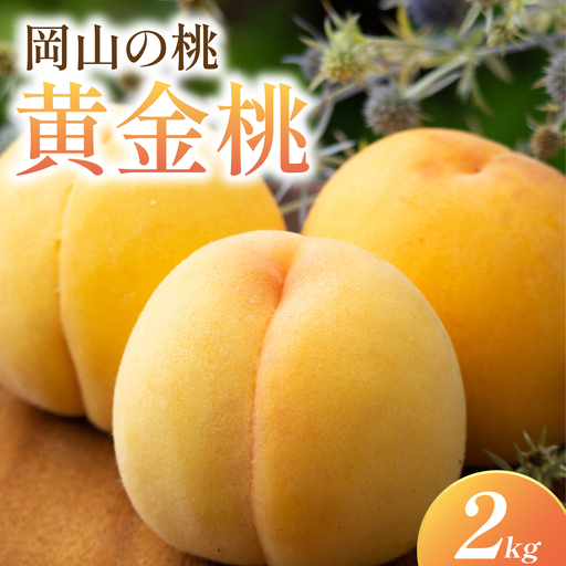 岡山県産・マンゴーの様な黄色い桃・黄金桃　2kg箱
