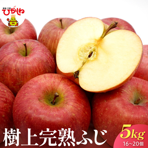 2026年産 樹上完熟ふじりんご 赤秀 5kg(16-20個)りんご