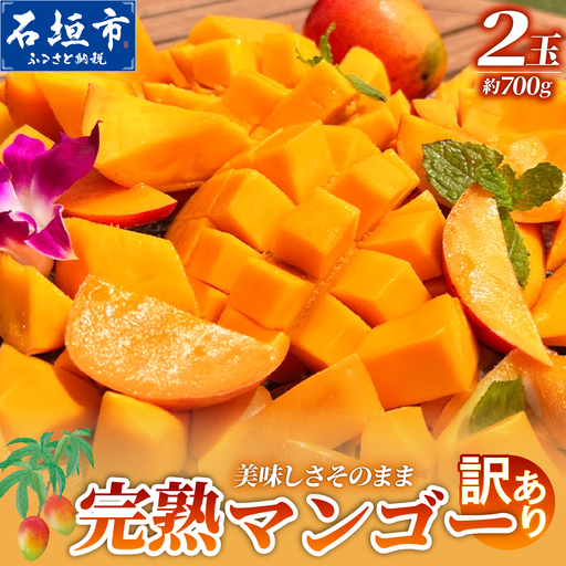 【自家用】完熟マンゴー 2玉（約700g）《2027年6月中旬順次発送》