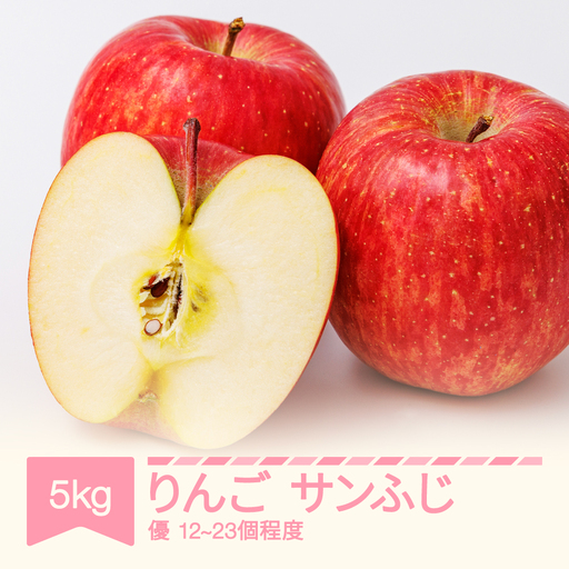 令和8年産 りんご サンふじ 優品 約5kg (12~23個程度) yi-risfy5000
