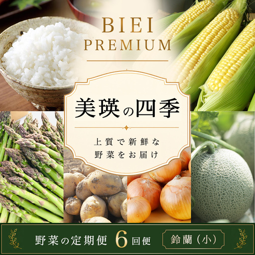 [令和9年産予約受付]野菜セット 5回 定期便 旬な野菜 新鮮 美瑛の四季 鈴蘭(小)