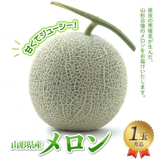 山形県産メロン 1玉 秀品 FSY-2927