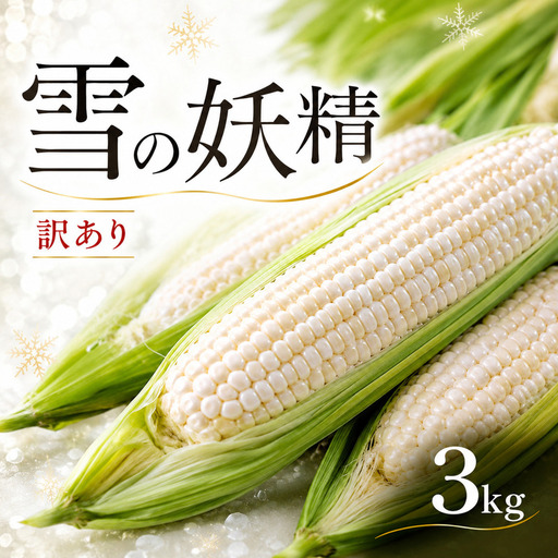 訳あり 白いとうもろこし 約3kg 【とうもろこし】