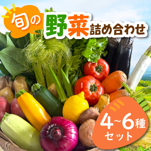 宮若産 旬の野菜詰め合わせ詰め合わせ 4〜6種セット [M1017] 季節 野菜 果物 詰め合わせ 九州 福岡 宮若市 ふるさと納税 おすすめ