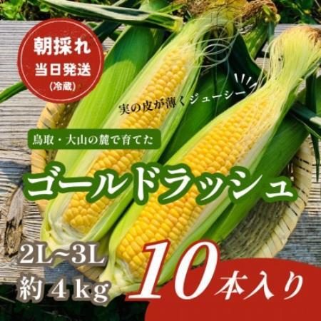 [朝採れ当日発送]大山スイートコーン10本|2L〜3Lサイズ(約4kg)|ゴールドラッシュ[配送不可地域:離島・北海道・沖縄県・東北・信越、北陸]