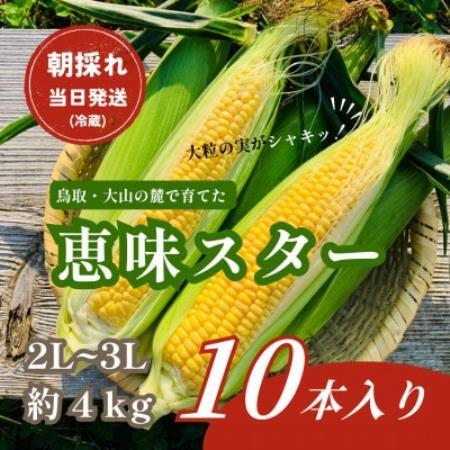 [朝採れ当日発送]大山スイートコーン10本|2L〜3Lサイズ(約4kg)|恵味スター[配送不可地域:離島・北海道・沖縄県・東北・信越、北陸]