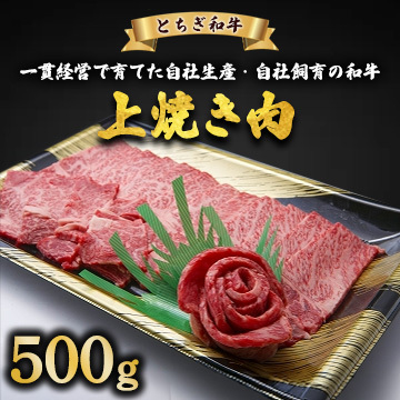 とちぎ和牛 上焼き肉用 500g | 冷凍 牛肉 夕食 焼肉