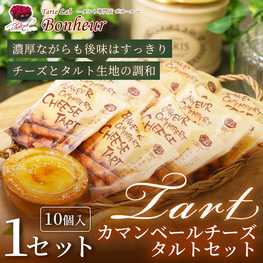 カマンベールチーズタルトセット(10個入り)1セット K351-005 カマンベールチーズタルト チーズ タルト 焼き菓子