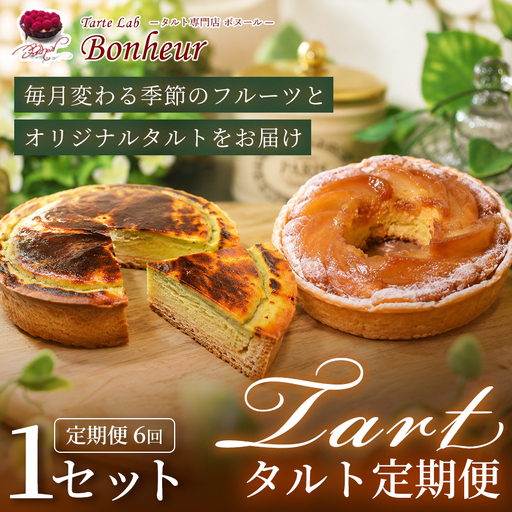 [全6回]タルト定期便 K351-T01_a 定期便 定期 タルト タルト専門店 スイーツ