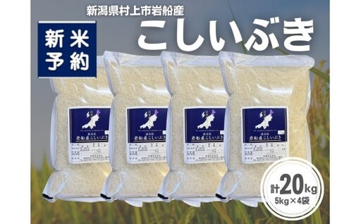 【新米受付・令和8年産米】新潟県村上市岩船産 こしいぶき20kg（5kg×4袋）1099007N