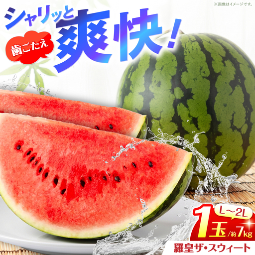 羅皇ザ・スウィート 1玉（L～2L）約7kg ＜AgriBaseさいかい＞[CGV005]