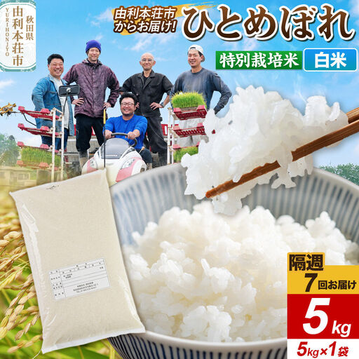 《2週間毎お届け》【定期便7回】令和8年産 新米受付【白米】ひとめぼれ 5kg（5kg×1袋）特別栽培米 秋田県産