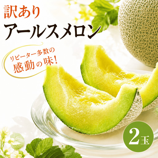 【訳あり】 アールスメロン 2玉 不揃い メロン 家庭用 完熟 果物 フルーツ