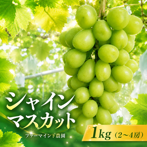 シャインマスカット 1kg(2〜4房)[8月上旬頃発送] ファーマインド農園 シャイン マスカット ぶどう フルーツ 果物 数量限定 期間限定 季節限定 2026年 先行予約 種なし 国産 高級 上品 甘い みずみずしい ジューシー 夏 冷蔵 おすすめ 房総 千葉県 富津市 ファーマインド 農園