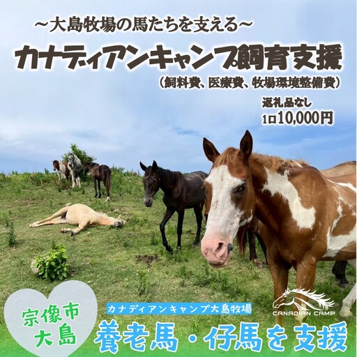 [返礼品なし]引退馬・仔馬の飼育支援 10,000円[カナディアンキャンプ乗馬クラブ]_HA2056 馬 仔馬 飼育支援 牧場 福岡県宗像市 宗像市 福岡 宗像
