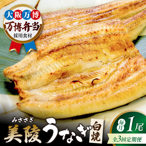 [全3回定期便]鰻 鰻の白焼 1尾 / 美陵 うなぎ ウナギ 蒲焼 蒲焼き かば焼き かばやき 白焼き 白焼 しろやき しらやき 特大 肉厚 うな重 うな丼 ひつまぶし 惣菜 おかず タレ 山椒 国産 スタミナ 土用 丑の日 ギフト / 大阪府藤井寺市/Giverichホールディングス株式会社[BLAM023]