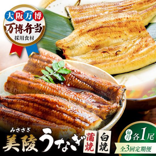 [全3回定期便]鰻 鰻の蒲焼1尾×白焼1尾 紅白セット / 美陵 うなぎ ウナギ 蒲焼 蒲焼き かば焼き かばやき 白焼き 白焼 しろやき しらやき 特大 肉厚 うな重 うな丼 ひつまぶし 惣菜 おかず タレ 山椒 国産 土用 丑の日 ギフト/ 大阪府藤井寺市/Giverichホールディングス株式会社[BLAM032]