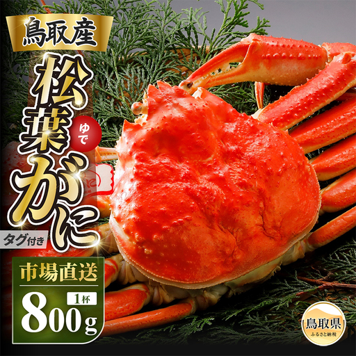 【2026年11月発送】特撰　松葉がに（茹）【ブランドタグ付き】800g超の大きいサイズ　食べ応えあり　特大1杯【期間限定】_T2600469
