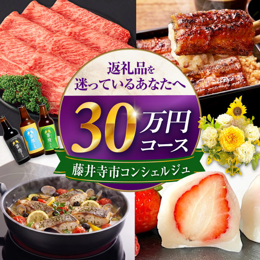 [藤井寺市コンシェルジュ]返礼品おまかせ!寄附額30万円コース 300000円 肉 牛肉 うなぎ 鰻 米 お米 お菓子 調理器具 フライパン グルメ 食品 お取り寄せ 詰め合わせ プレゼント 内祝い お返し ギフト グルメ 食品 お取り寄せ 高級[BLZZ013]