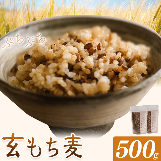 もち麦 玄もち麦 500g(250g×2) 自然野菜のら