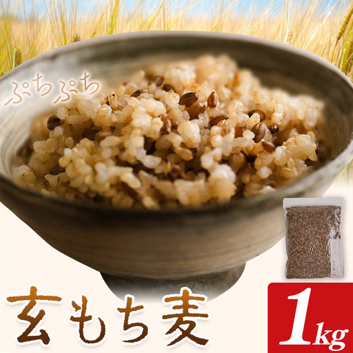 もち麦 玄もち麦 1kg 自然野菜のら