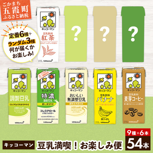 豆乳 キッコーマン 豆乳満喫! お楽しみ便 200ml×54本 9種 各6本 計54本 詰め合わせ
