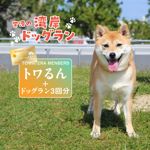 [TOWATERAメンバーズ]ドッグラン、ペットホテルなどをお得に利用できる「トワるん」会員入会+ドッグラン3回分(1頭)|ペット 常滑市