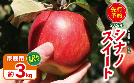 【2026年先行予約】訳あり 家庭用 シナノスイート 約3kg  ｜ 山とりんご
