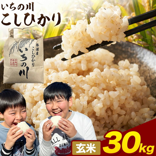 令和7年産 いちの川 コシヒカリ 玄米 30kg 市野川米製作所