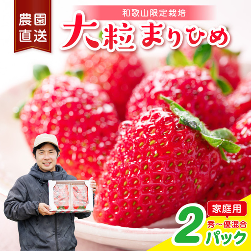 大粒の贅沢！「まりひめ」を農家直送で【家庭用】2パック【1331】