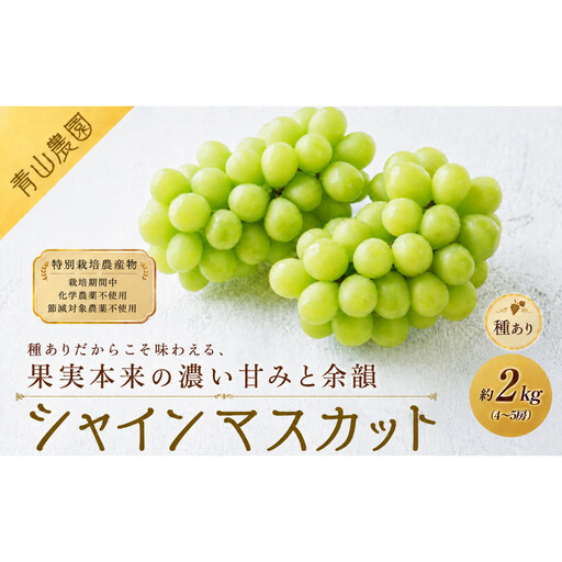 [先行予約][数量限定]種ありシャインマスカット 約2kg(4〜5房)|特別栽培農産物〔2026年8月上旬より順次発送〕