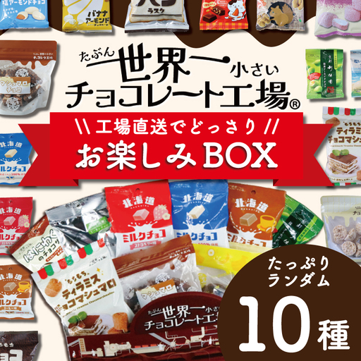 工場直送! 人気チョコ菓子 セット ランダム10種