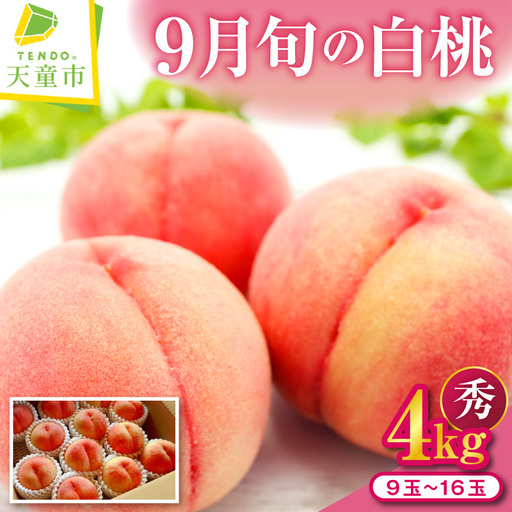 もも 9月 旬 の 白桃 4kg 山形 桃