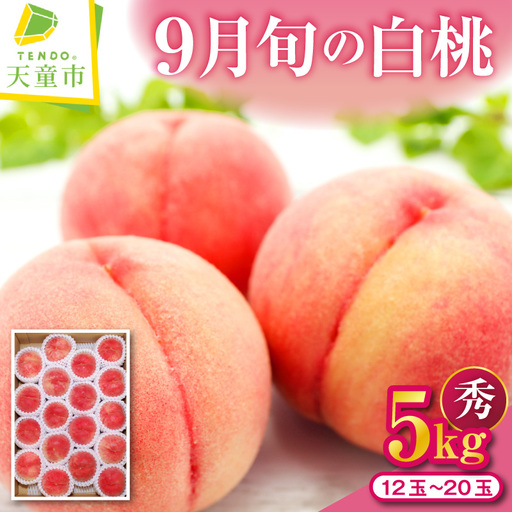 もも 9月 旬 の 白桃 5kg 山形 桃
