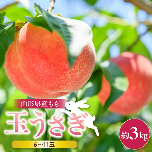 もも 大玉 玉うさぎ 約 3kg 山形 桃