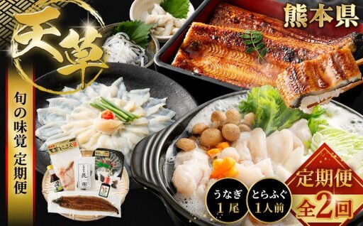 [ 天草旬の味覚定期便 2回 ( 1人前用 ) ] 天草とらふぐセット+天草藍うなぎ蒲焼セット ( 1尾 ) / 刺身 旨味 魚 魚類 お魚 旬 フグ ふぐ とらふぐ うなぎ ウナギ 鰻 上天草 定期配送 定期 定期便 贅沢 蒲焼 蒲焼き